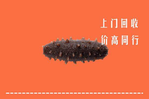 留坝县回收海参